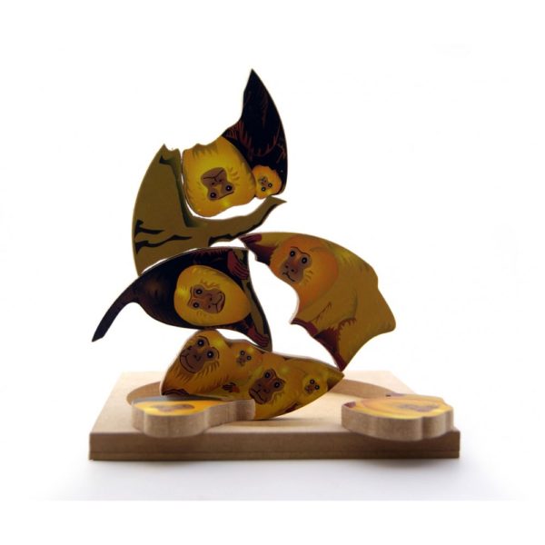 QC Mico Leão - Image 4
