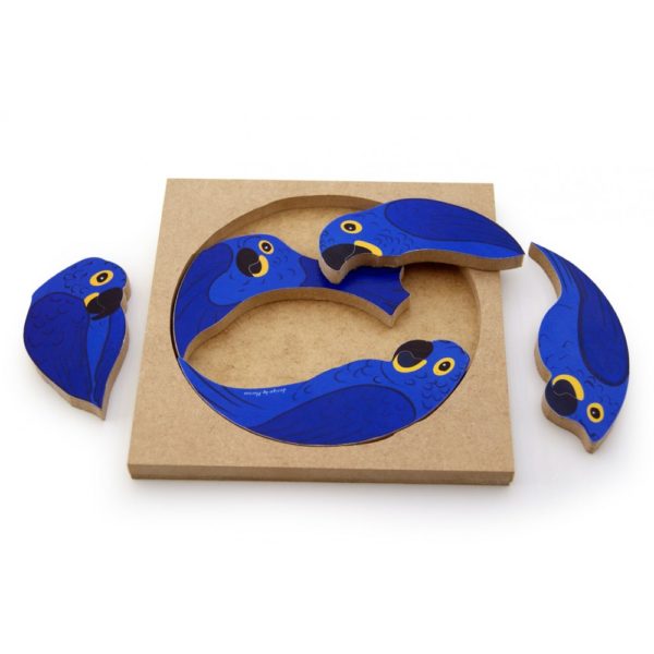 QC Arara Azul do Brasil - Image 3