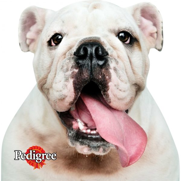 Mouse Pad em Formato Personalizado - Image 4